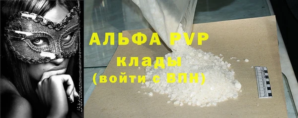 прущие грибы Костерёво