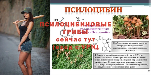 мдма Кодинск