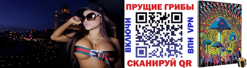 Псилоцибиновые грибы Psilocybe  Купить где  Елизово 